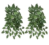 TWO 36" Artificial Arrow Head (Nephthytis) Hanging Bushes
