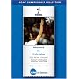 2001 NCAA Division I Women's Volleyball National Semi-Final - Stanford vs. Nebraska