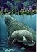 F.X. Schmid 1000 Piece Puzzle Manatee Haven by Sherry Vintson