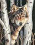 Dimensions PaintWorks/Paint By Number, Wolf In Trees