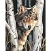 Dimensions PaintWorks/Paint By Number, Wolf In Trees