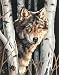 Dimensions Needlecrafts Paintworks Paint By Number, Wolf In Trees