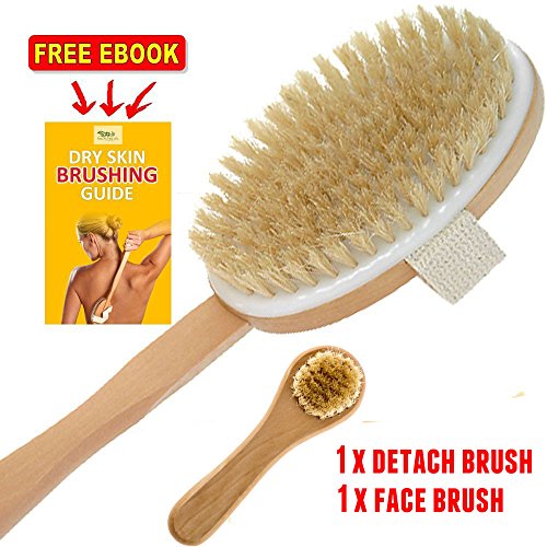 Bath Body Dry Brush Best for Lymphatic Drainage wash Toxin Away, Deep Cleansing, Scrub Your Back, Exfoliate, Cleanse, Detox. Natural Boar Bristles, Makes Your Skin Glow Bath Body Dry Brush Best for Lymphatic Drainage wash Toxin Away, Deep Cleansing, Scrub Your Back, Exfoliate, Cleanse, Detox. Natural Boar Bristles, Makes Your Skin Glow