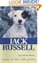 Jack Russell Terriers (KW Dog)