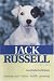 Jack Russell Terriers (KW Dog)