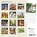 Golden Retrievers 2016 Square 12x12 Plato