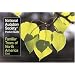 National Audubon Society Pocket Guide to Familiar Trees of North America : East (The Audubon S ociety Pocket Guides)
