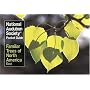 National Audubon Society Pocket Guide to Familiar Trees of North America : East (The Audubon S ociety Pocket Guides)
