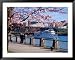 Boat on the Willamette River, Portland, Oregon, USA Collections Framed Art Poster Print by Janis Miglavs, 49x39
