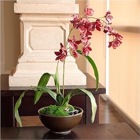 Miltonia Orchid Silk Flower Arrangement