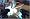 Halo 2 (PC DVD)