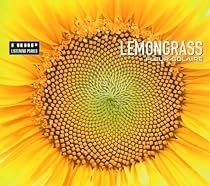 Fleur Solaire