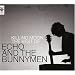 Killing Moon: the Best of Echo & the Bunnymen