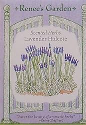 Lavender English Hidcote Seeds 200 Seeds