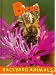 Bees (Backyard Animals)