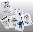 The Cat Playing Cards