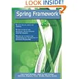 Spring Framework High impact Strategies Definitions