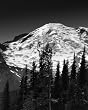 Mount Rainier in Black and White - Striking 16x20 Photographic Print by Brendan Reals