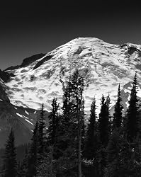 Mount Rainier in Black and White - Striking 16x20 Photographic Print by Brendan Reals