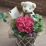 �y��̓��M�t�g�ɂ��z�v���U�[�u�h�t�����[�@�x�A�ƃJ�[�l�[�V�����i�s���N�j