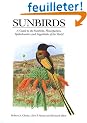 Sunbirds: A Guide to the Sunbirds, Flowerpeckers, Spiderhunters and Sugarbirds of the World
