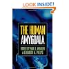 The Human Amygdala