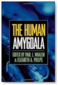 The Human Amygdala