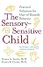 Sensory-Sensitive Child, The