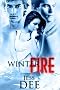 Winter Fire: A Red Hot Winter Story