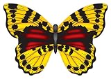 X-Kites Mini Microlite 4-Pack - Butterfly