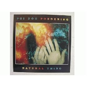 Poi Dog Pondering Poster Flat PoiDog