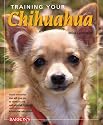 Training Your Chihuahua