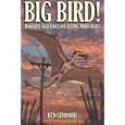 BIG BIRD! - MODERN SIGHTINGS OF FLYING MONSTERS by  Ken, Gerhard, Jonathan, Downes, and William, M Rebsamen