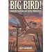 BIG BIRD! - MODERN SIGHTINGS OF FLYING MONSTERS