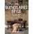 Buenos Aires Style: Exteriors, Interiors, Details (Icon (Taschen))