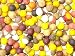 Boilies bunte Mischung 1kg