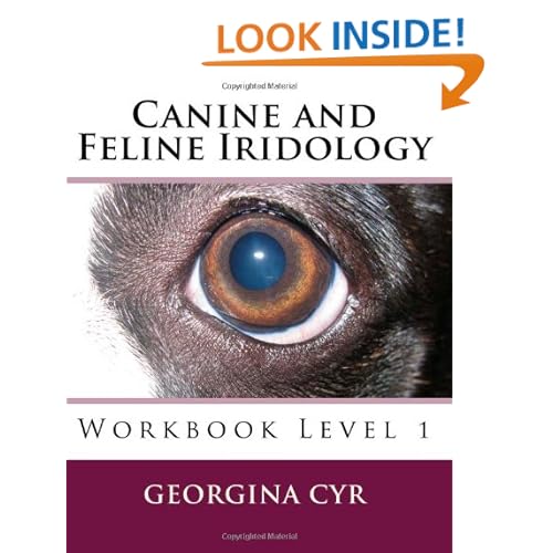 Cat Iridology Chart