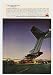1967 IH International Harvester Airport Trucks O'Hare International Airport Print Ad ...