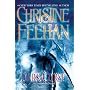 Dark Curse (The Carpathians (Dark) Series, Book 16)