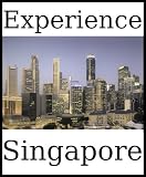 Experience Singapore: a travel guide (2010)