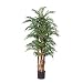 New Nearly Natural 5' Parlor Palm Silk Tree Elegant Realistic Look Feel Attractive Wo...