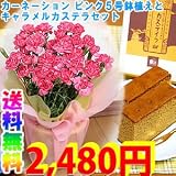 【送料無料】【母の日ギフト】カーネーション ピンク ５号鉢植え キャラメルカステラ付き【5/5~5/10の間にお届け】