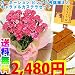 �y���������z�y��̓��M�t�g�z�J�[�l�[�V���� �s���N �T�����A�� �L���������J�X�e���t���y5/5~5/10�̊Ԃɂ��͂��z