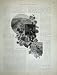 1886 Australia Fallon'S Vineyard Albury Wine Grapes Men