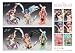Queen's Blade Chozo Collection Vol. 3 Trading Figure (Display of 8)