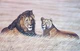 Lion with Lioness - Water Color Painting On Silk Fabric