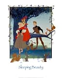 Sleeping Beauty Art Poster Print, 16x20