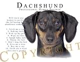 Dachshund BLACK Human Trainer Mouse Pad Dog Mousepad
