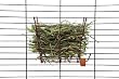 Super Pet Rabbit Hay Manger Feeder with Salt Hanger