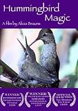 Hummingbird Magic